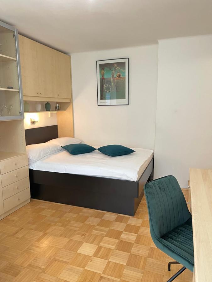 Luxury Studio Apartments ลูบลิยานา ภายนอก รูปภาพ